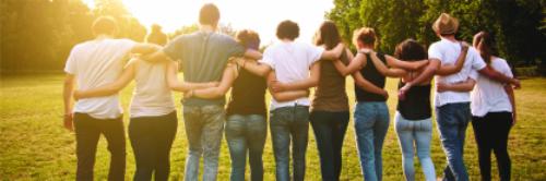 vehicle violation citation