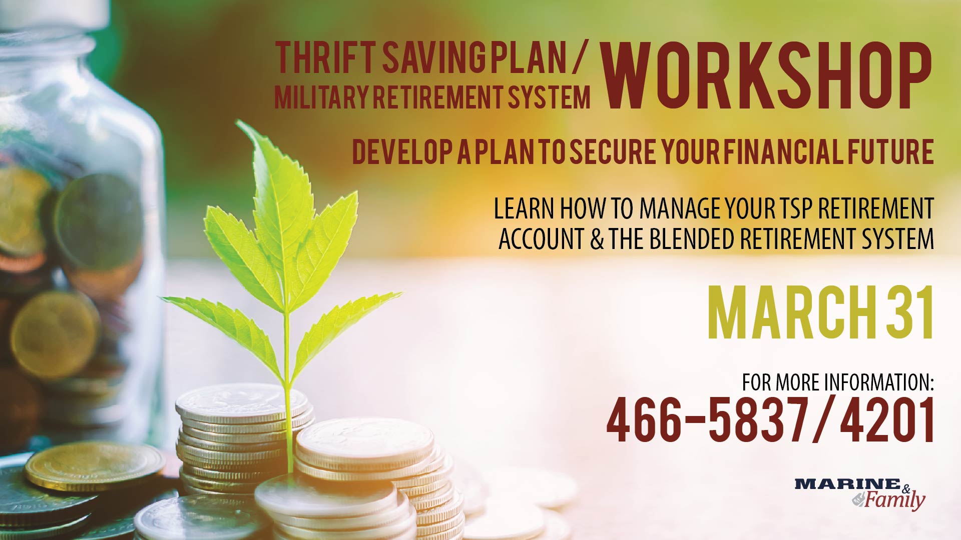 Saving & Investing/TSP/BRS