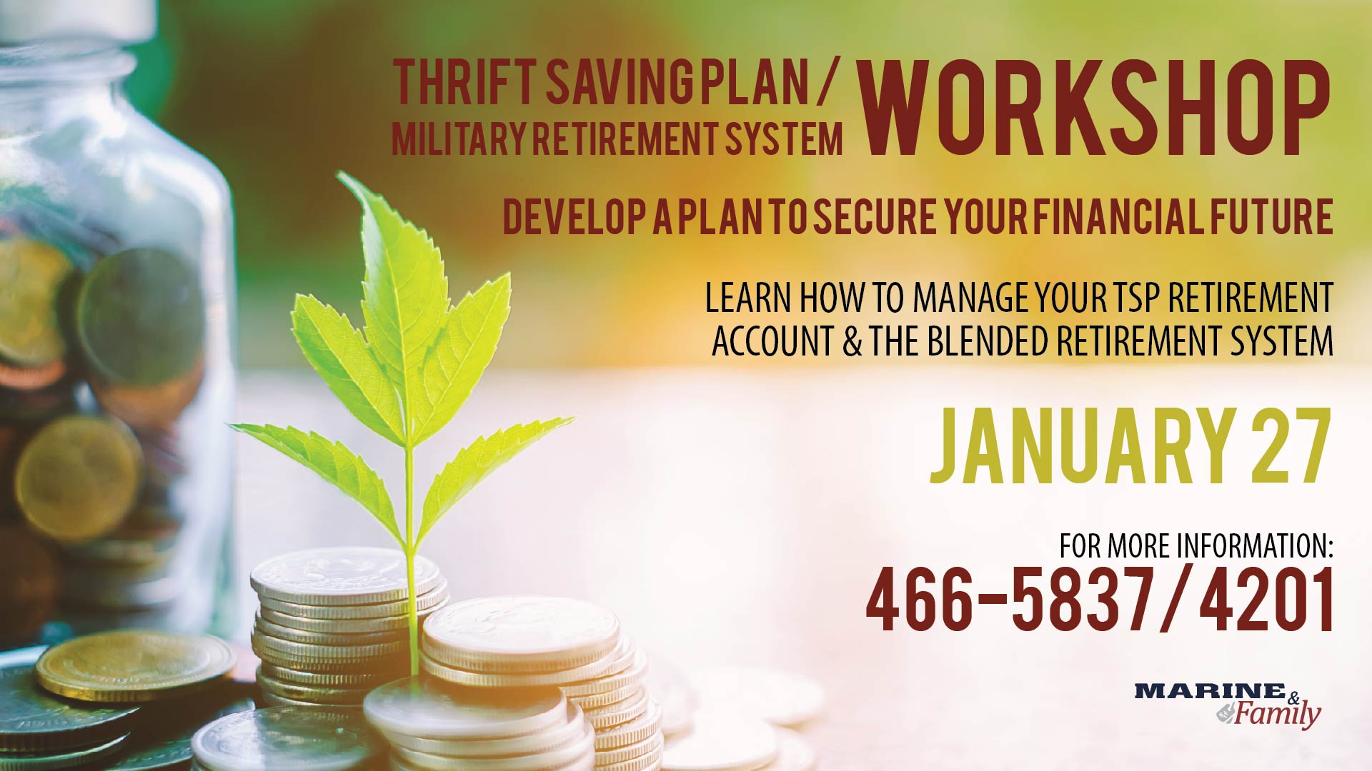 Saving & Investing/TSP/BRS