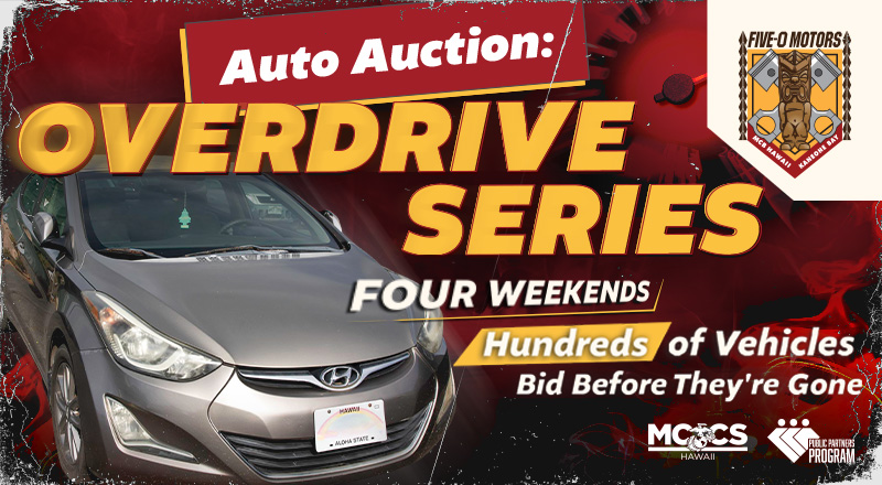3 Day Auto Auction